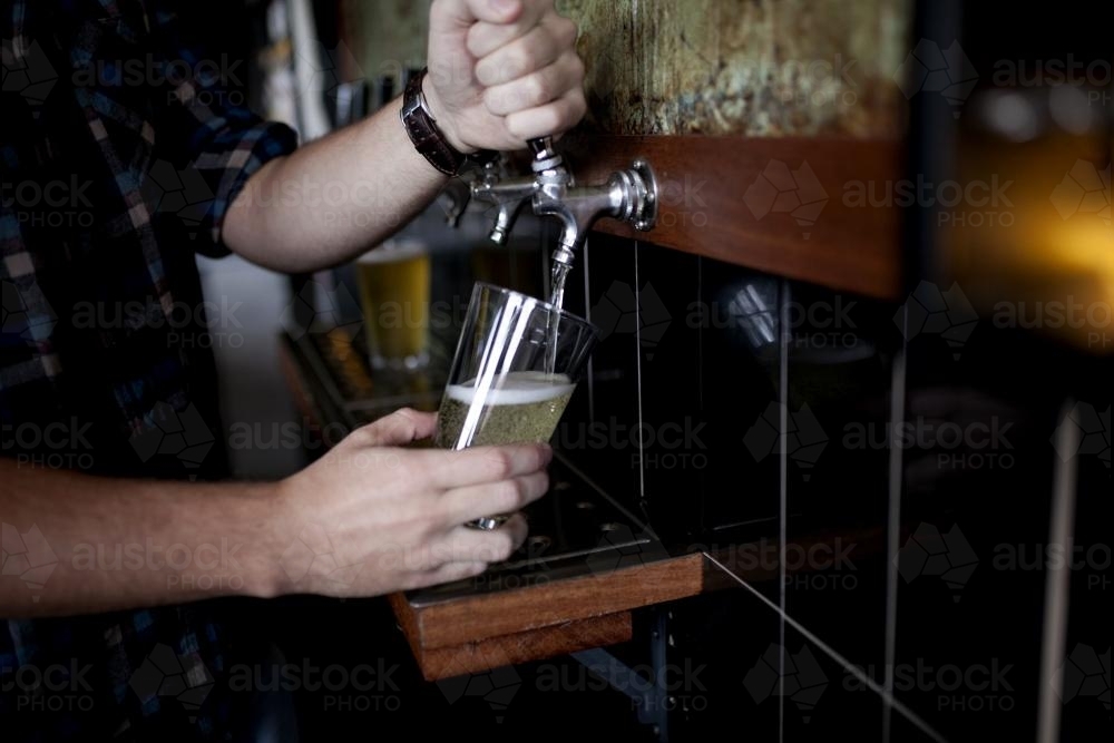 Bartender pouring drink on tap at local craft beer bar - Australian Stock Image