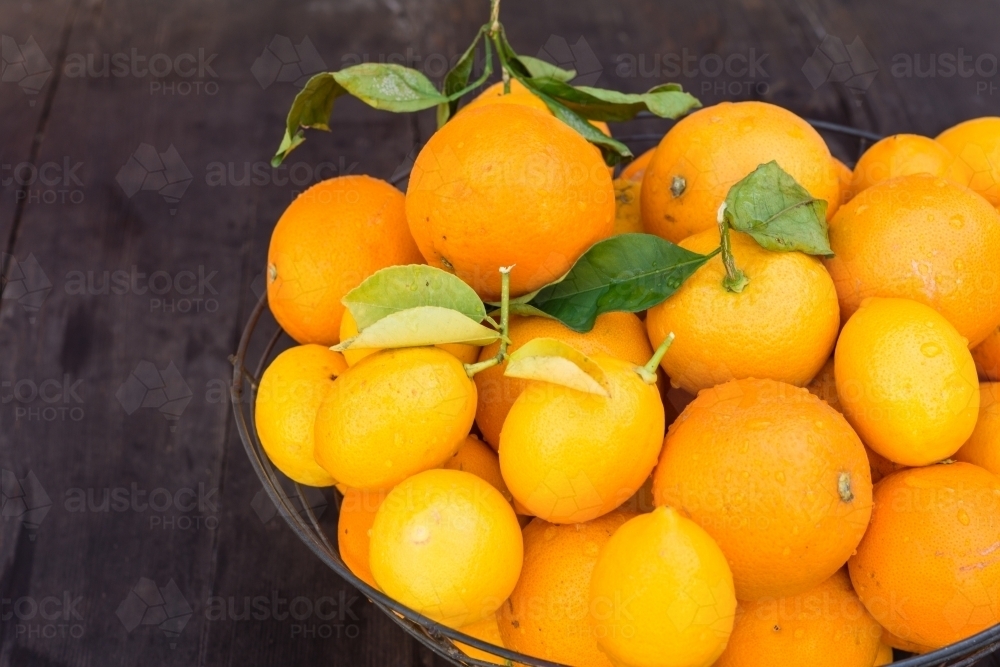 basket of organic oranges - Australian Stock Image
