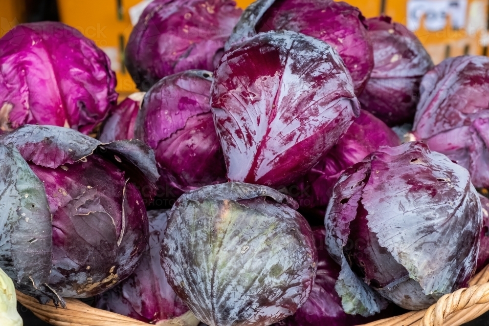 Basket of organic red cabbages - Australian Stock Image
