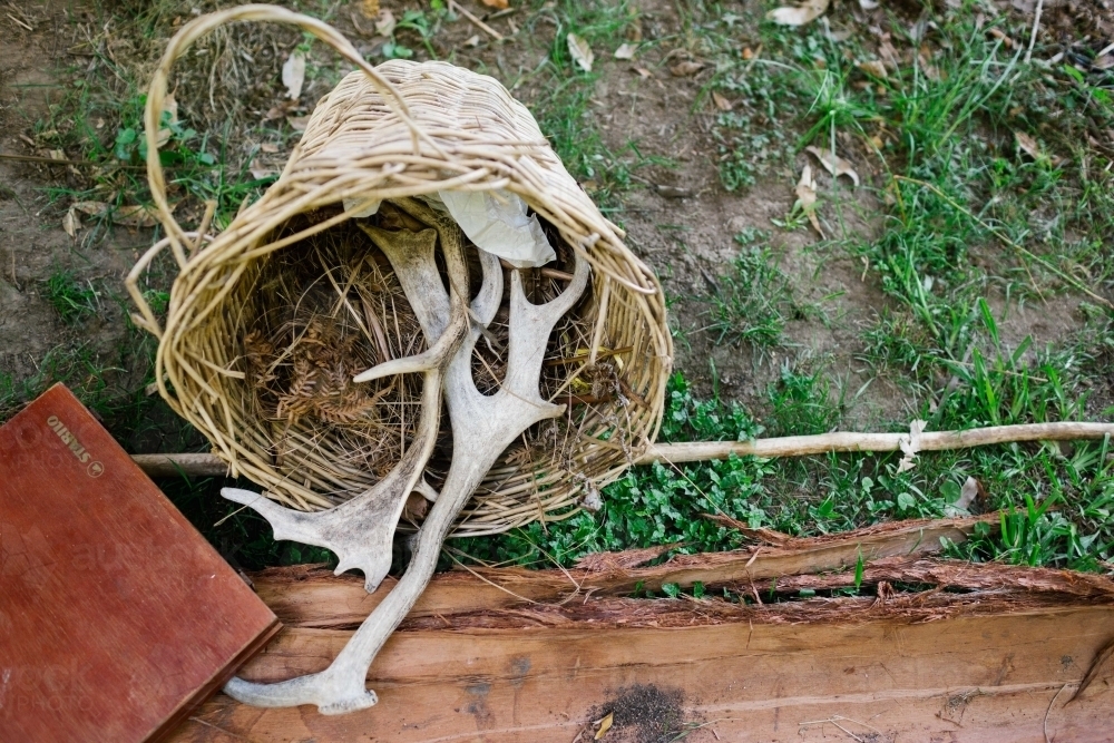 Basket with horns - Australian Stock Image