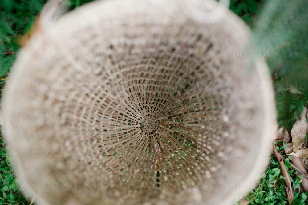 Basket woven from natural fibres in bush - Australian Stock Image