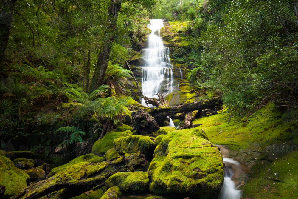 Bastion Cascades - Tasmania : Austockphoto Bastion Cascades - Tasmania - Australian Stock Image