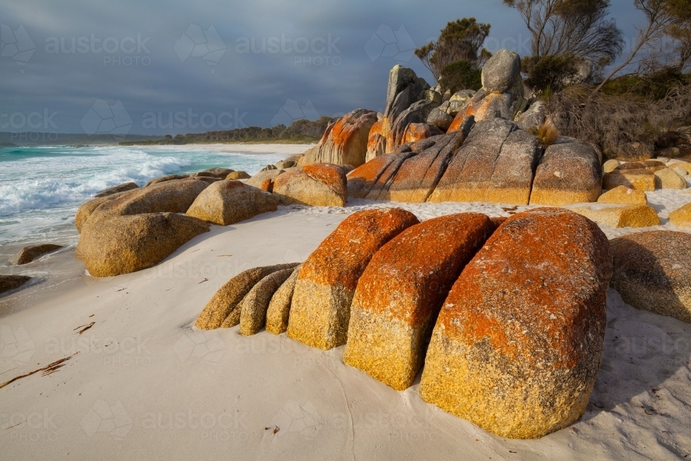 Bay of Fires - Tasmania - Australian Stock Image