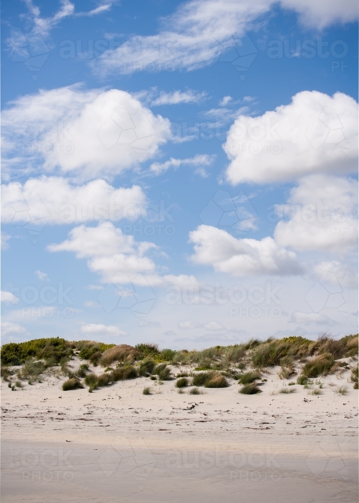 beach and sand dune with coastal vegetation - Australian Stock Image