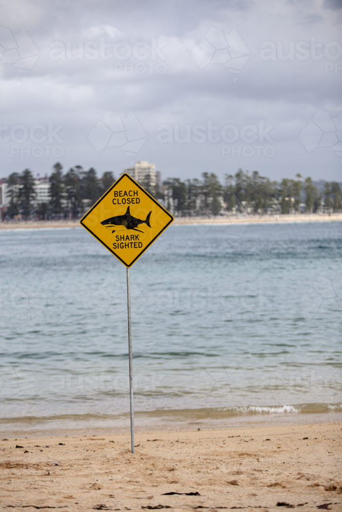 Beach Closed - Shark Sighted sign standing on foreground at the beach - Australian Stock Image