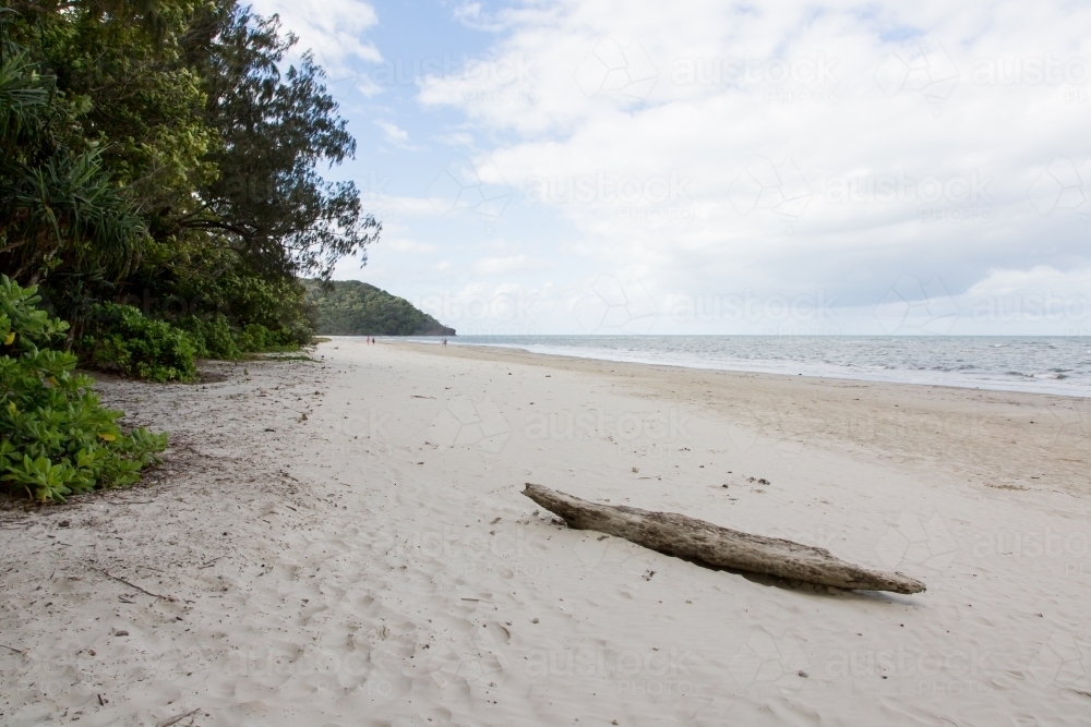 Beach in the Daintree rainforest - Australian Stock Image