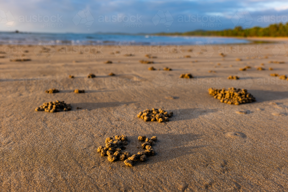 Beach scene at sunrise with waves and crab balls in sand - Australian Stock Image