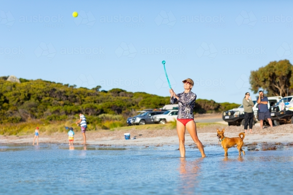 beach scene wth lady throwing ball for pet dog - Australian Stock Image