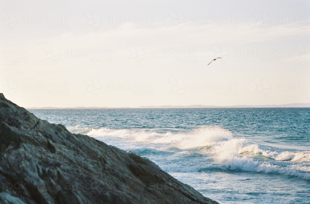 Beach Sunset Over The Rocks With Bird - Australian Stock Image