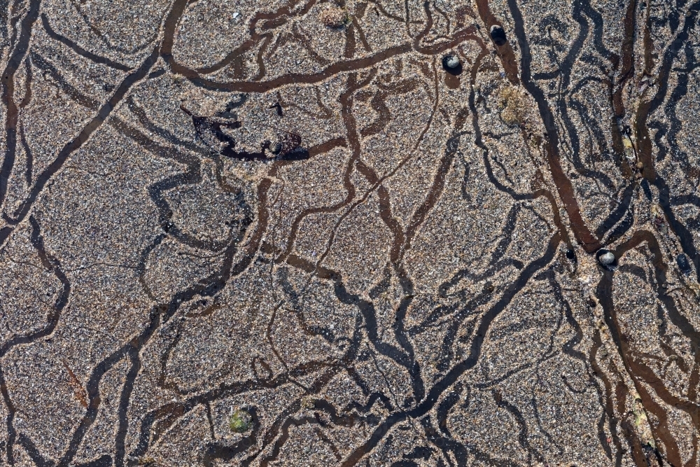 Beach trails left by hermit crabs - Australian Stock Image