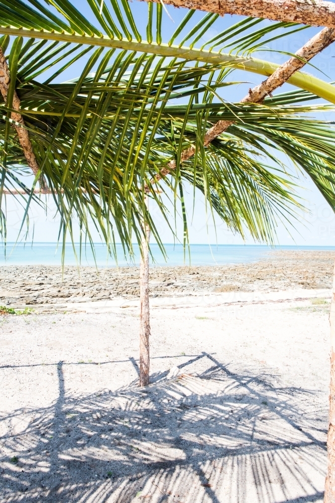 Beach view from under a leafy structure - Australian Stock Image