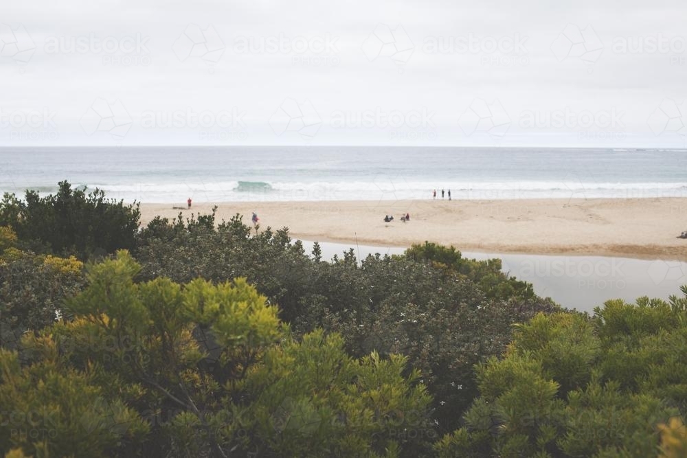 Beach view with bushes in the foreground - Australian Stock Image