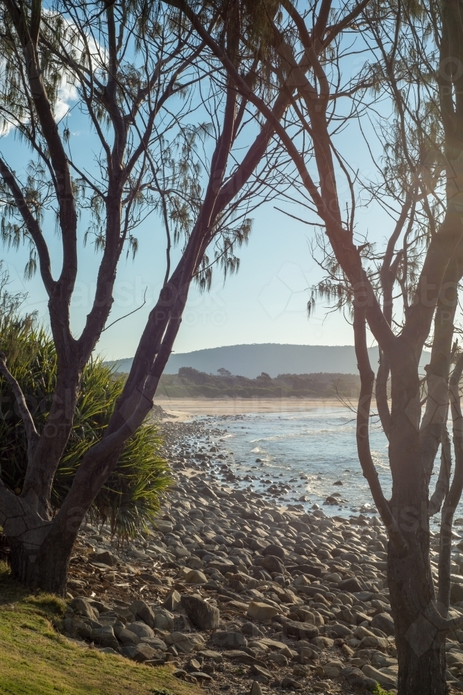 Beach with trees and rocks - Australian Stock Image