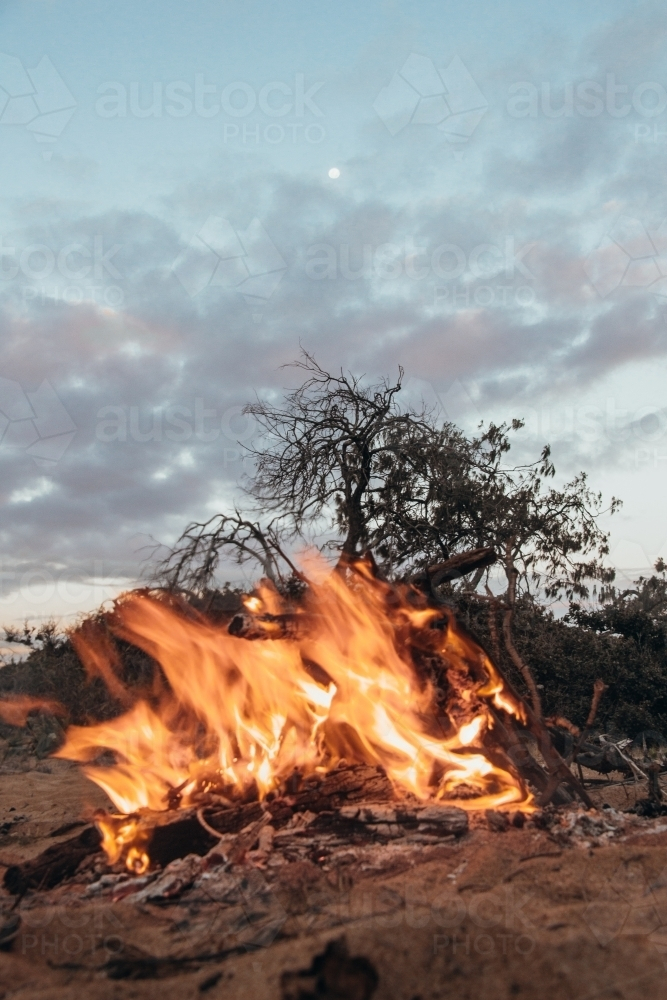 Beachside bonfire at dusk - Australian Stock Image