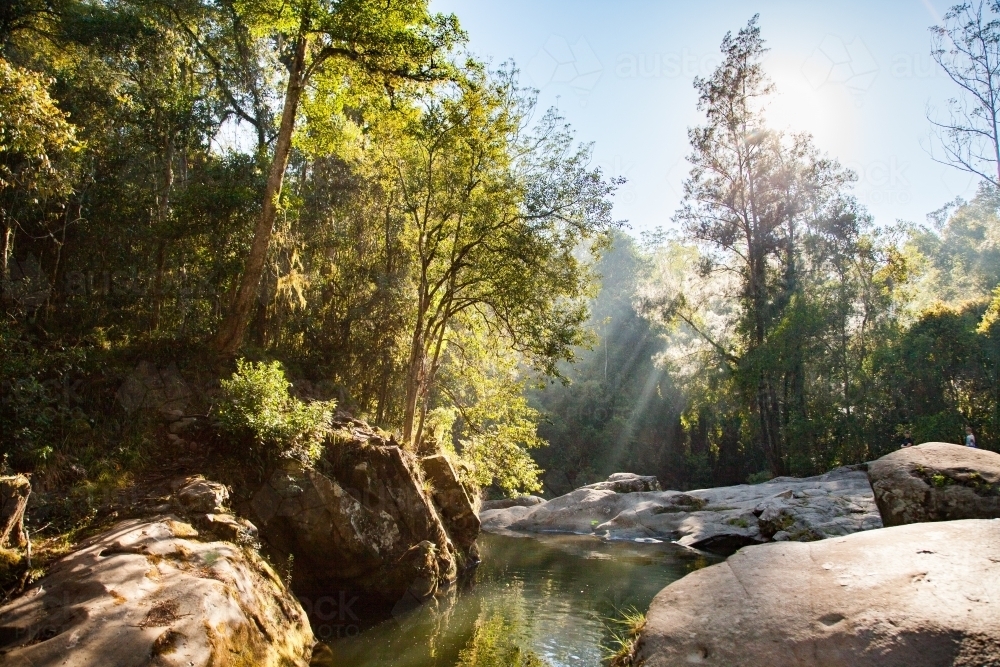 Beautiful riverside scenery of trees and creek with sun beams of silver light - Australian Stock Image