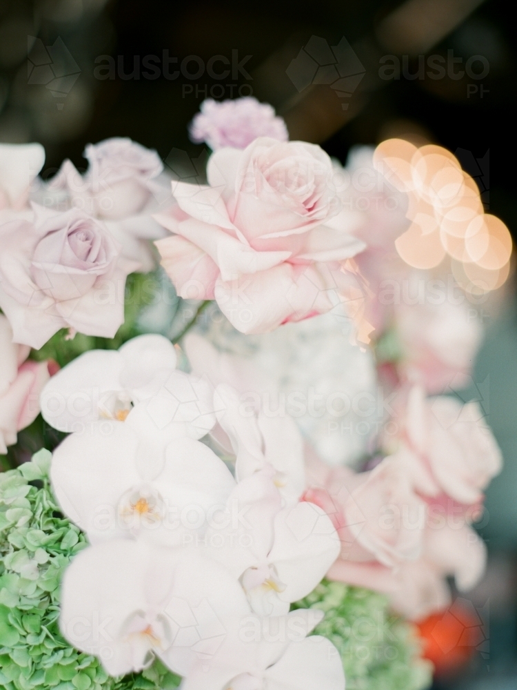 Beautiful Soft Coloured Floral Arrangement - Australian Stock Image