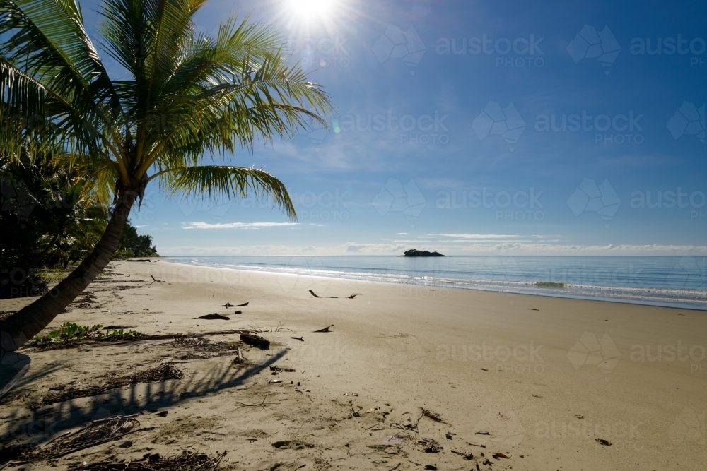 Beautiful sunny, tropical beach scene with palm tree, an island in the distance - Australian Stock Image