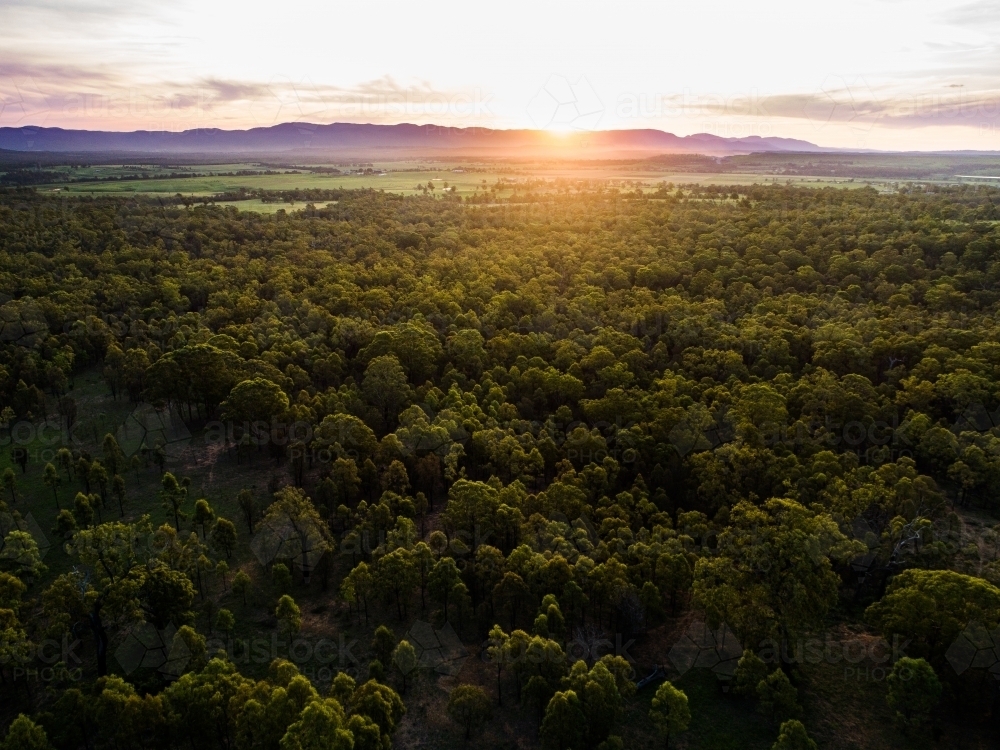 Beautiful sunset light over landscape of trees and farm land in Hunter Valley - Australian Stock Image