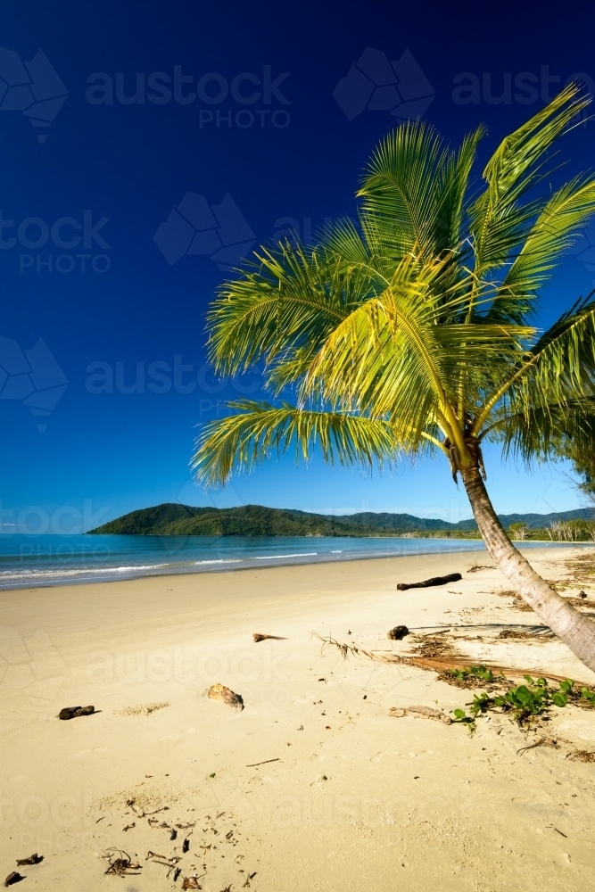Beautiful, tranquil, tropical beach scene with palm tree and dark blue sky - Australian Stock Image