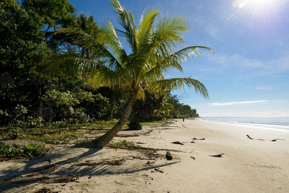 Beautiful tropical beach scene with palm tree, blue sky and lens flare - Australian Stock Image