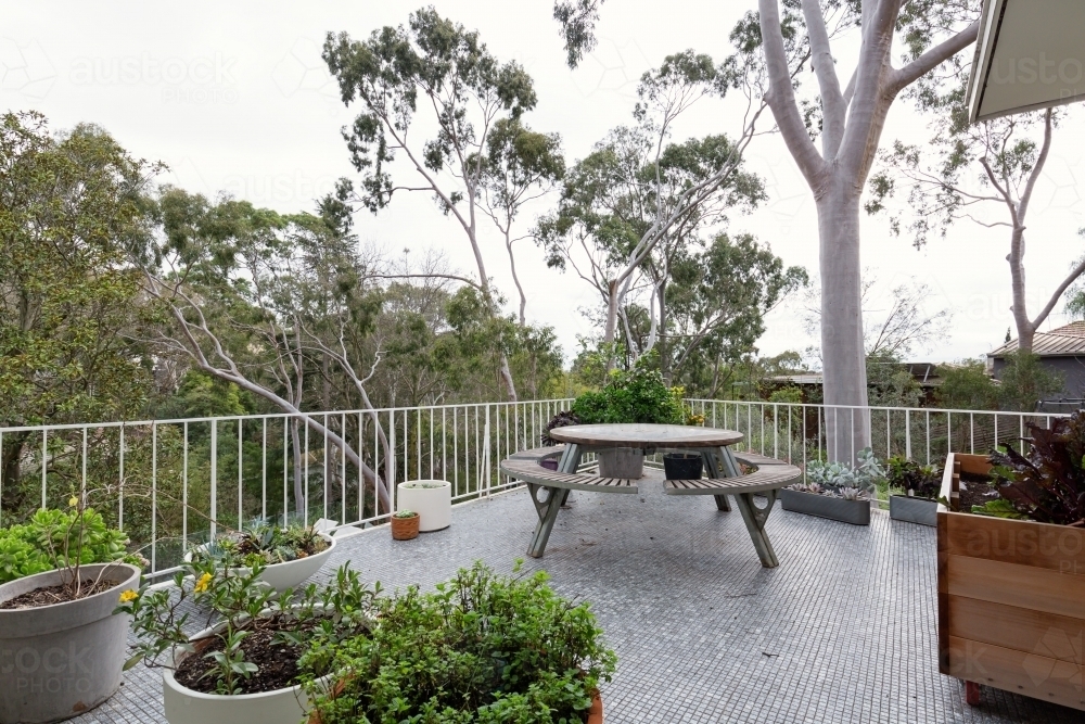 Beautiful view of tree tops from patio in modern Australian suburban home - Australian Stock Image