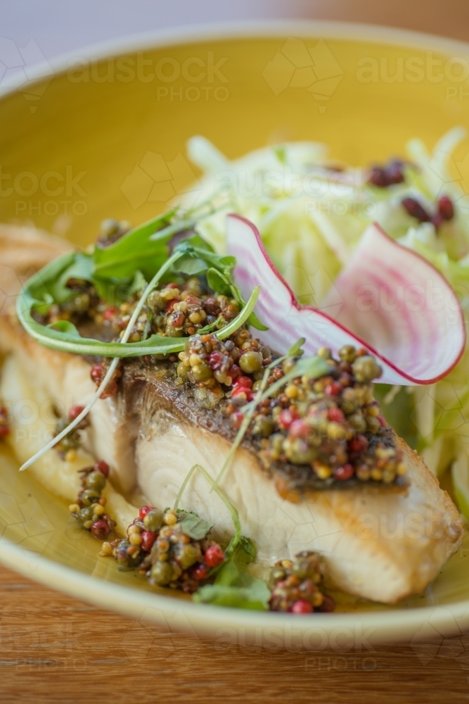 Beautifully plated fish and salad - Australian Stock Image