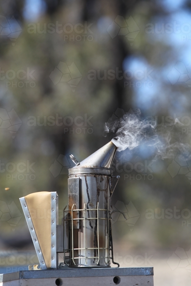 Bee smoker in Victorian bushland - Australian Stock Image