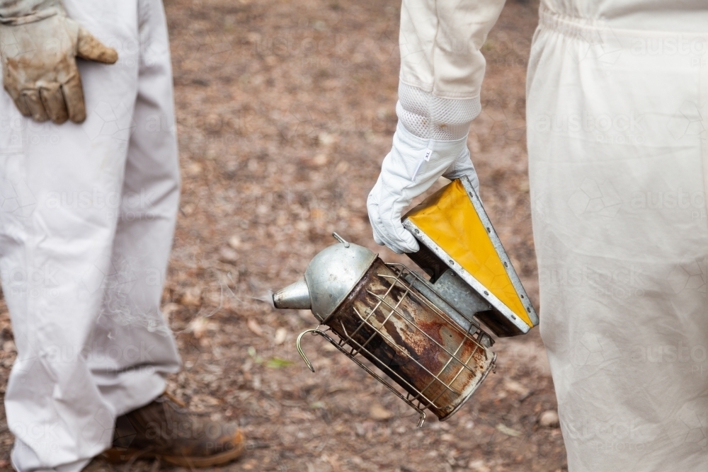 Image of Beekeeper with bee smoker ready to harvest honey - Austockphoto
