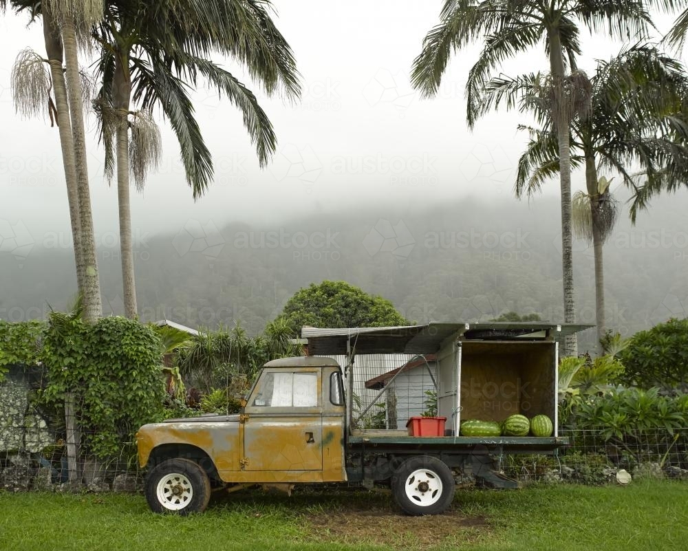 Bellingen Farm - Australian Stock Image