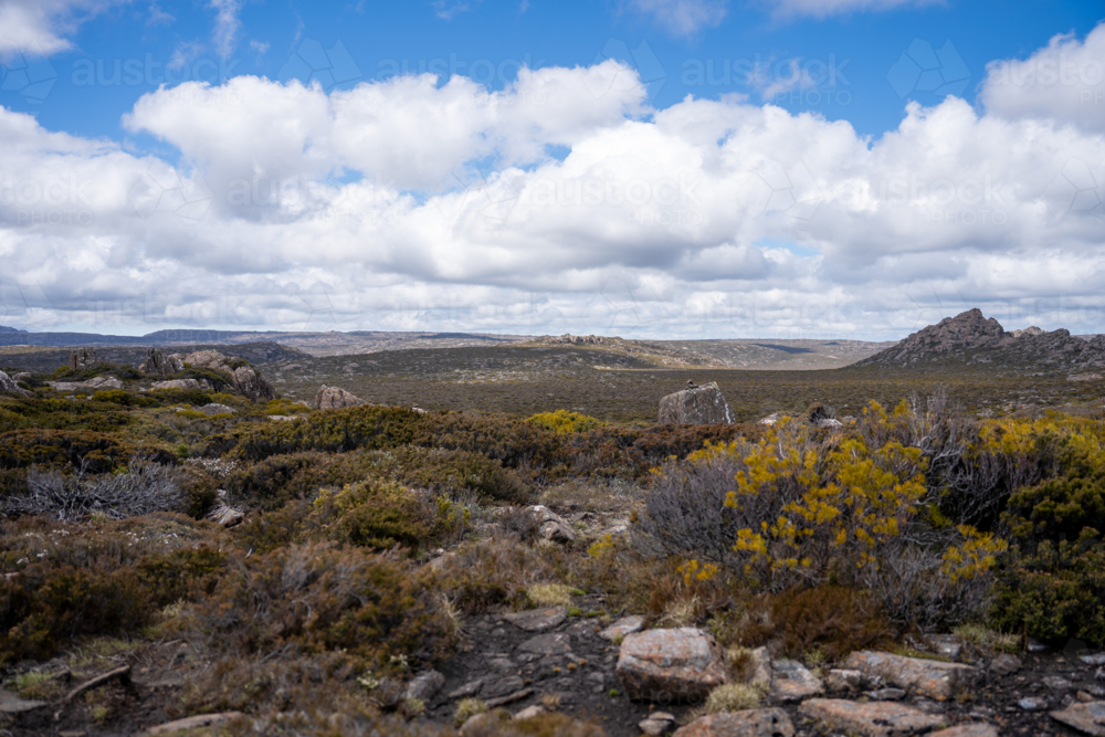 Ben Lomond National Park - Australian Stock Image