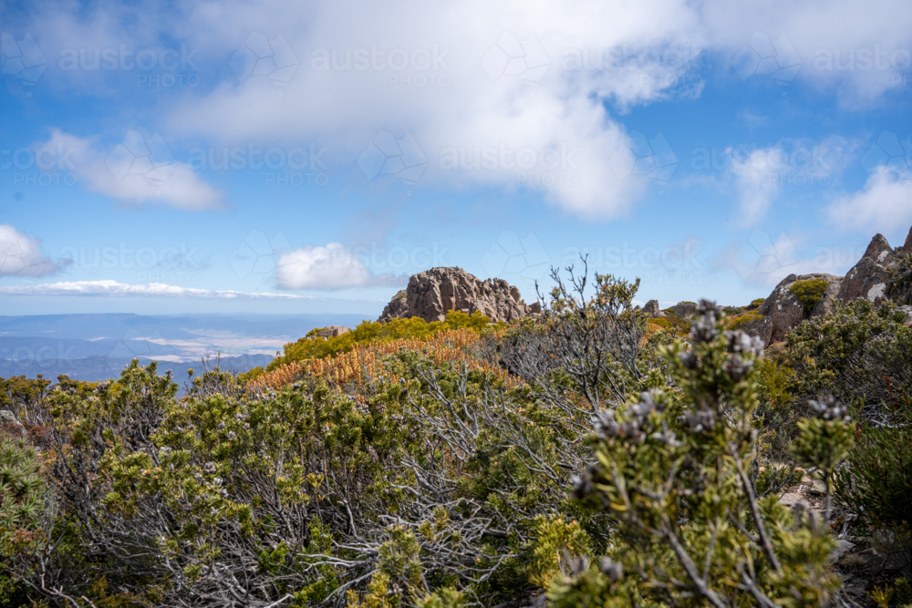 Ben Lomond National Park - Australian Stock Image