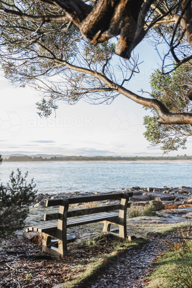 Bench overlooking ocean at Greens beach - Australian Stock Image