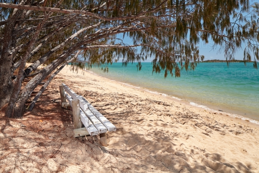 Bench seat under trees on a deserted beach. - Australian Stock Image