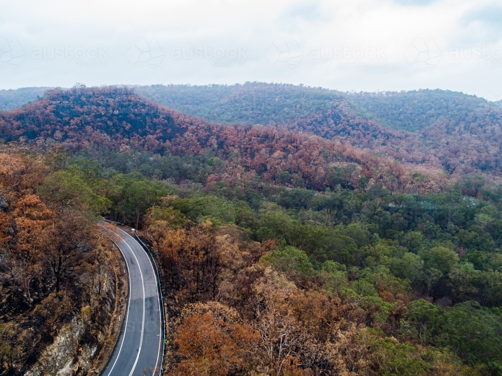 Bend in mountain road with burnt trees along the ridge lines after bushfire - Australian Stock Image