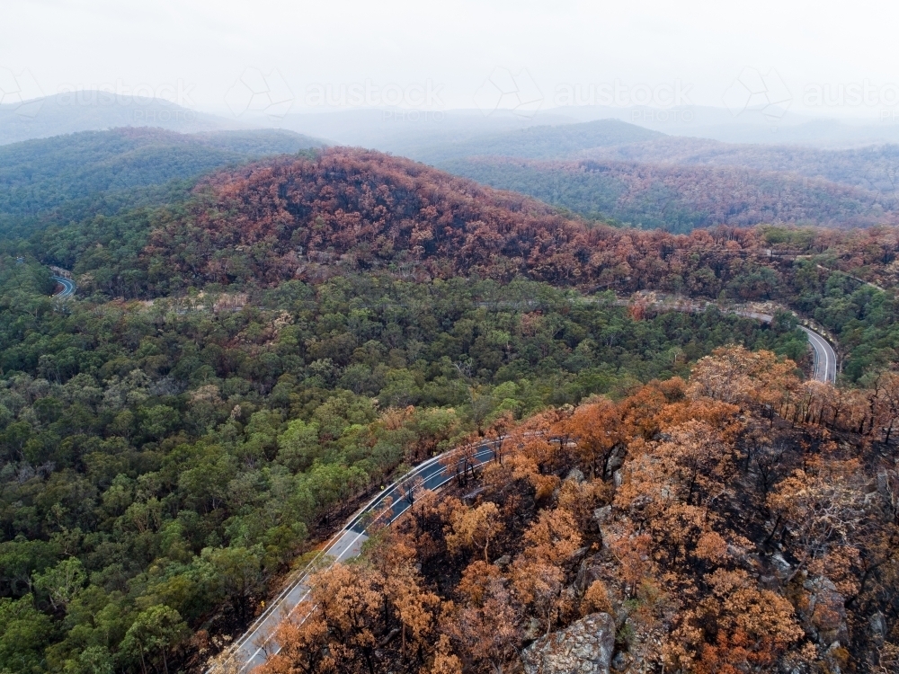 Bend in mountain road with burnt trees along the ridge lines after bushfire - Australian Stock Image