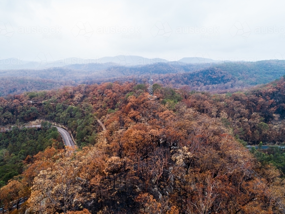 Bend in mountain road with burnt trees along the ridge lines after bushfire - Australian Stock Image