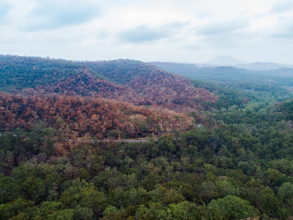 Bend in mountain road with burnt trees along the ridge lines after bushfire - Australian Stock Image