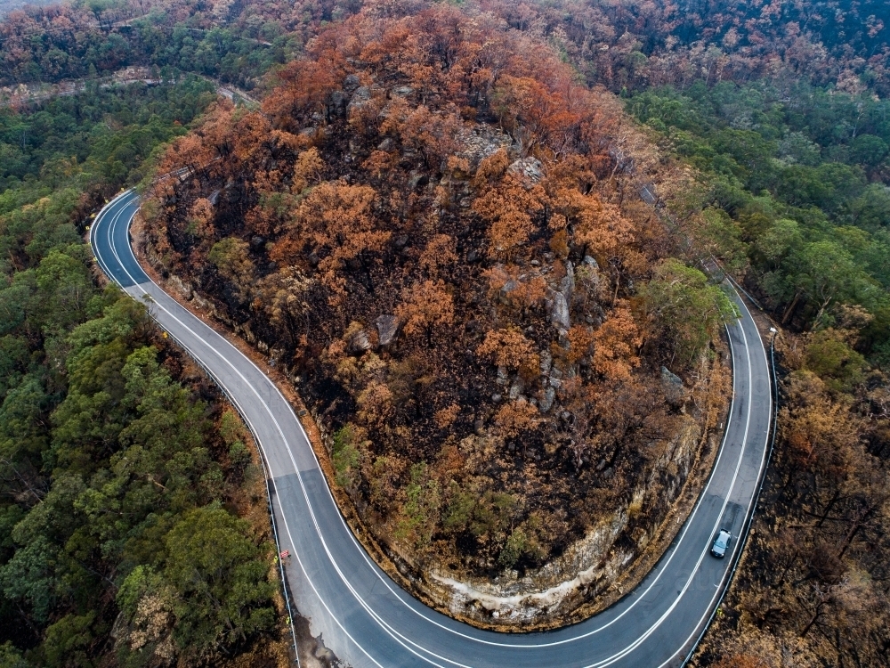 Bend in Putty road with burnt trees after a bushfire - Australian Stock Image