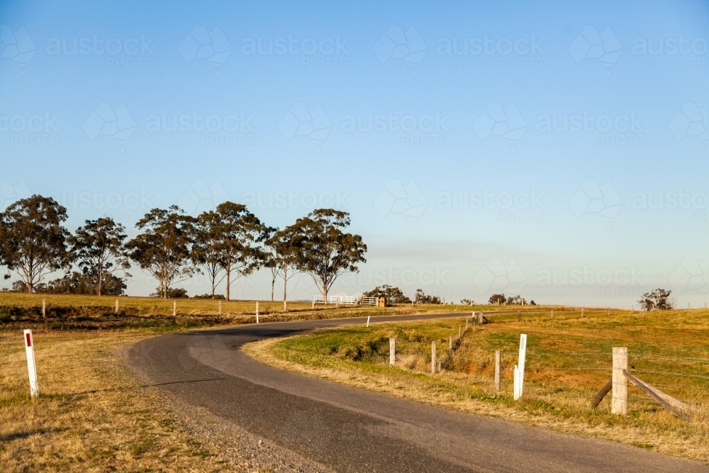 Bend in rural country road with farm entrance lined in gum trees - Australian Stock Image