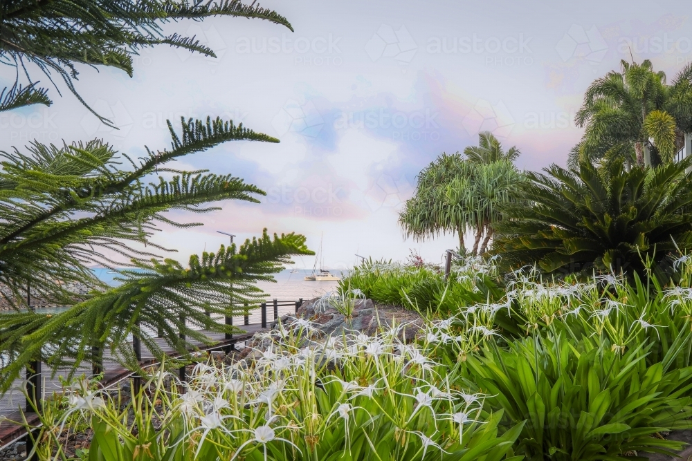 Bicentennial Boardwalk from Cannonvale to Airlie Beach in the Whitsundays - Australian Stock Image