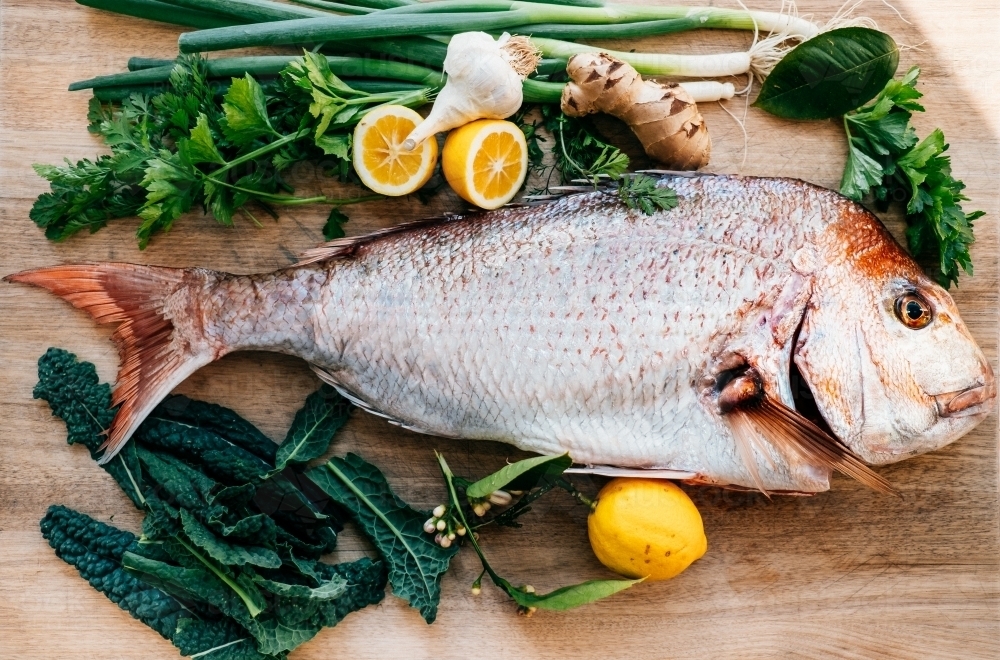Image of Big fresh snapper fish ready to be cooked. Austockphoto