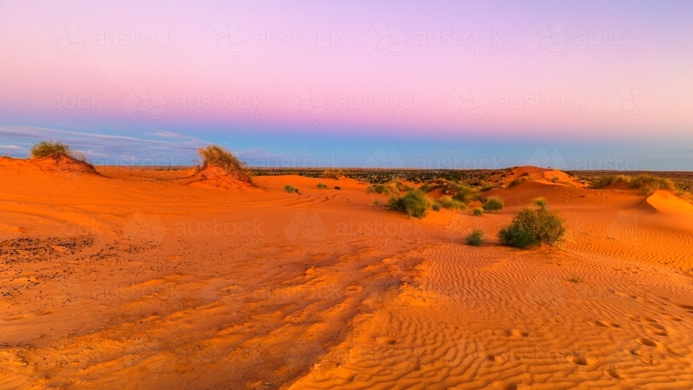 Big red sand dune at dusk - Australian Stock Image