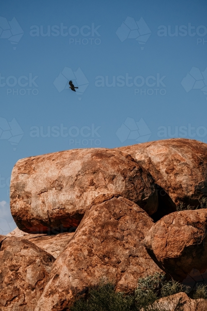 Bird flies over outback rocks. - Australian Stock Image