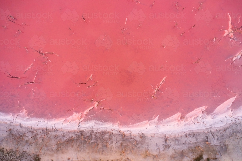 Bird's eye view of a pink salt lake with dead trees and salt crusted shoreline. - Australian Stock Image