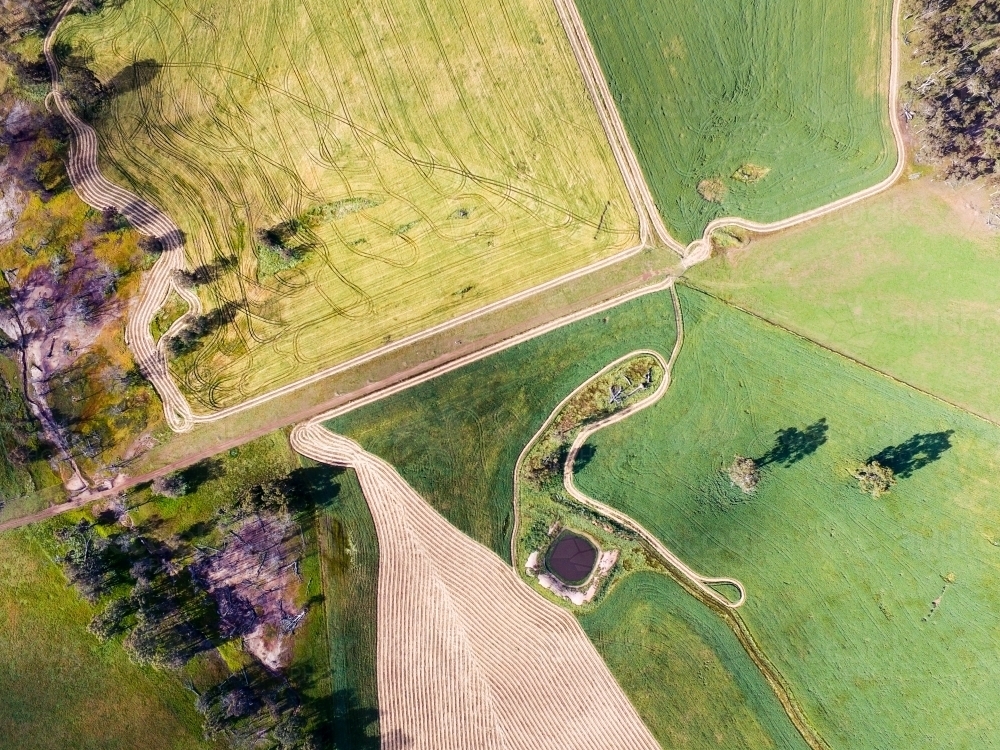 Bird's eye view of farmland with green crops - Australian Stock Image
