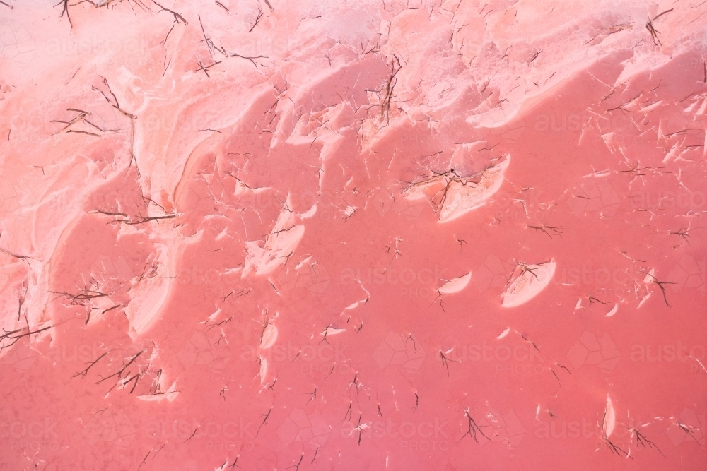 Bird's eye view of the white salt-encrusted shore of a pink lake in Western Australia. : Austockphoto Bird's eye view of the white salt-encrusted shore of a pink lake in Western Australia. - Australian Stock Image
