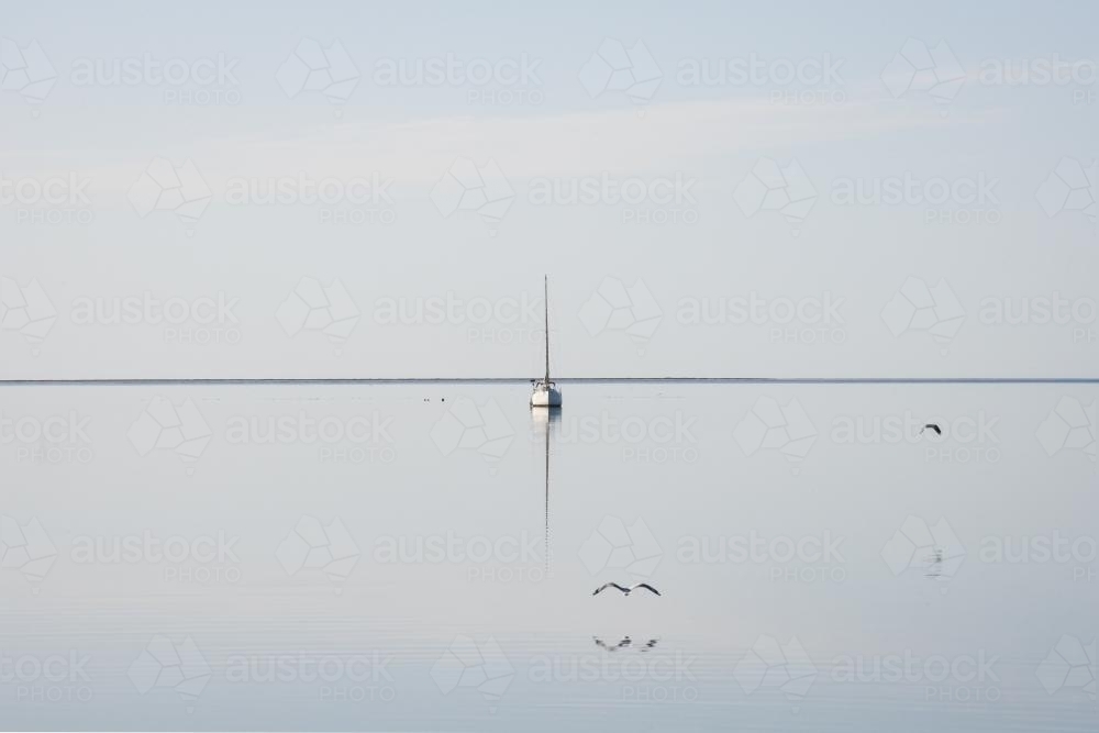 Birds flying low over the bay towards boat, and flat horizon - Australian Stock Image