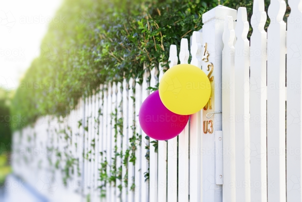 Birthday party balloons at front of white fence - Australian Stock Image