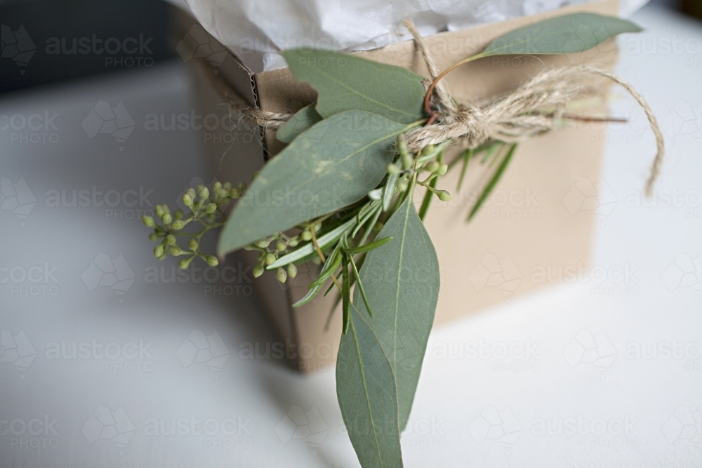 Birthday present box with gum leaf desoration - Australian Stock Image