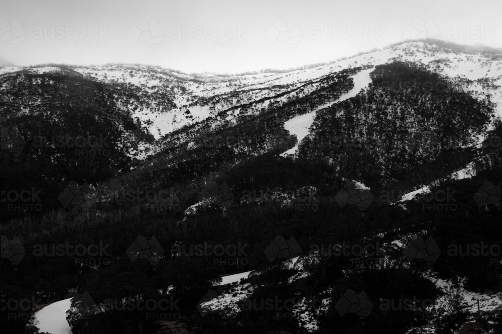 Black and white mountains from the black ash of bushfires and white snow. - Australian Stock Image